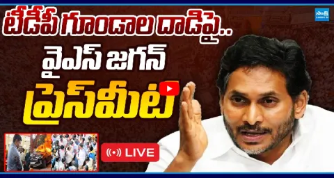 YS Jagan Mohan Reddy Pressmeet On TDP Atrocities In AP 2