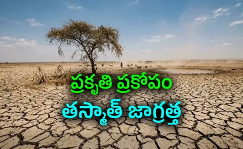 El Nino Drought Devastates Farmer Livelihood but She Fights Back