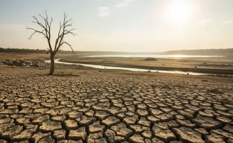 State government declares drought hit mandals