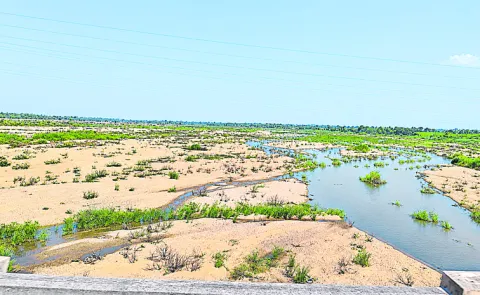 Deficient rainfall during the Northeast Monsoon season too due to the El Nino effect