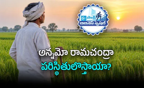 Rice Price Hike in India Why Grain Bowl Empty for Farmers