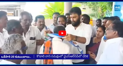Joinings In YSRCP Party In The Presence Of Kodali Nani  2