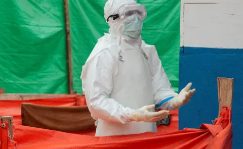 France reports first human case of livestock virus Shamonda