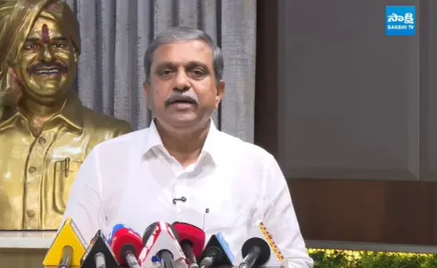 Sajjla Ramakrishna Reddy on govt over AP local body elections