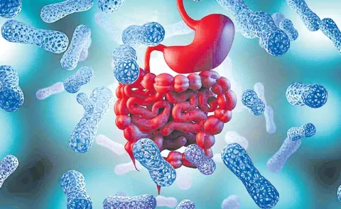 Tribal Gut Microbes Scientific Study