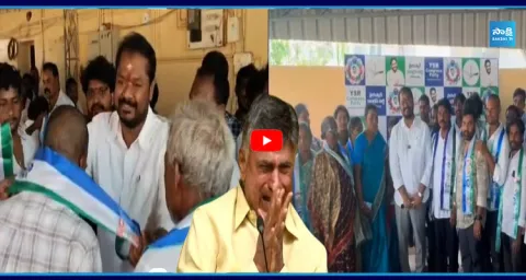 Big Shock to Chandrababu 300 TDP Families Join YSRCP 1