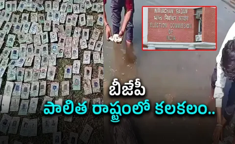 Voter ID cards found in Narmada river, Madhya Pradesh: Video Viral9