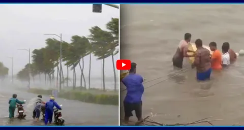 Cyclone Arnab Effect On Mogalthuru And Narsapuram 1