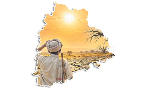 365 drought-affected mandals in Telangana