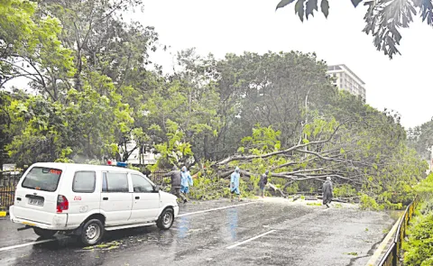 Cyclone Arnab left a trail of damage in Visakhapatnam