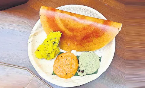 Cockroach Allegedly Found in Masala Dosa at Bengaluru’s Famous CTR!8