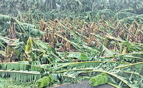 Cyclone Arnab Threatens Coastal Andhra Pradesh