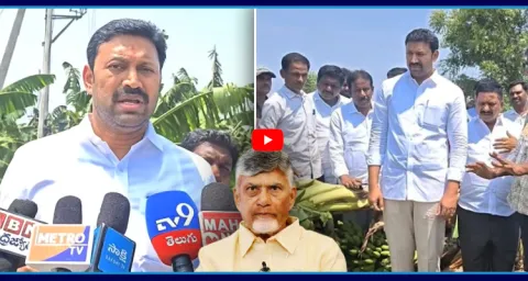 YS Avinash Reddy Slams Chandrababu Govt Over AP Banana Farmers Issues 1