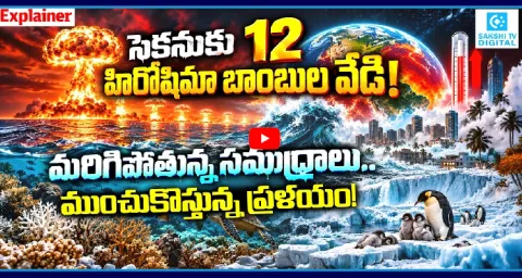 Oceans Are Heating Up Like Never Before 1