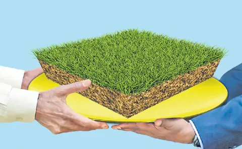 Land allotment in Chittoor to Revax Agritech India