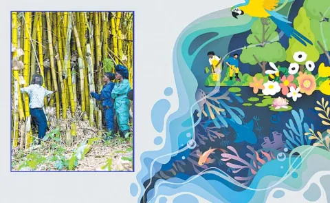Ecosystem Restoration Global Report Agroforestry Green Jobs