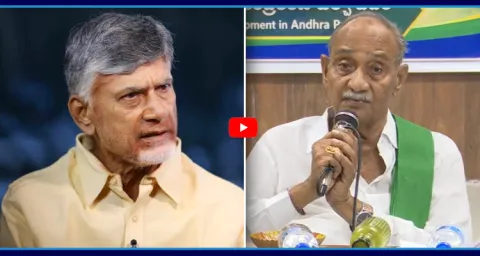 Vadde Sobhanadreeswara Rao Comments On Chandrababu Naidu 1