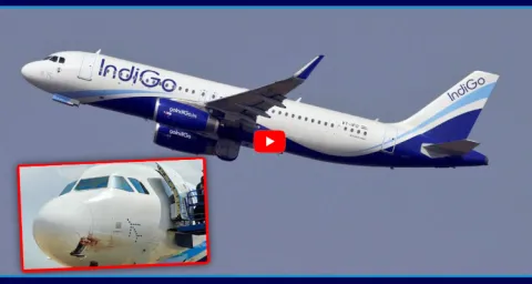 Indigo Flight Bird Strike Shamshabad Airport 1