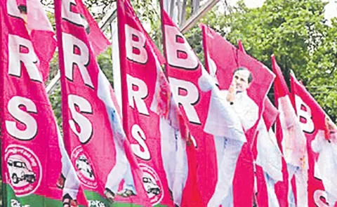 BRS equations on the Council Graduates elections