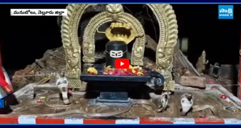 Three Cobras Circle The Shiva Lingam In Nellore 1