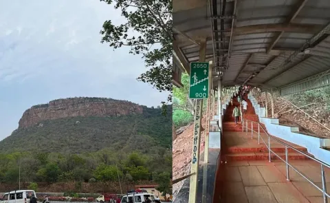 Leopard Spotted on Alipiri Path Tirumala Devotees Alerted