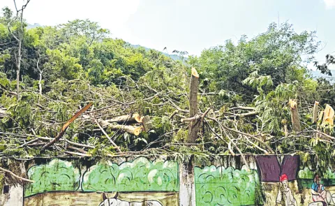 Unstoppable environmental destruction in Visakhapatnam