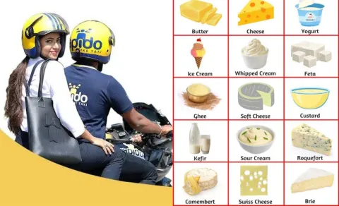 Odisha Man Quits it Job Rapido to Research Dairy Business