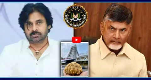 SIT Clarifies No Animal Fat In Tirumala Laddu 1