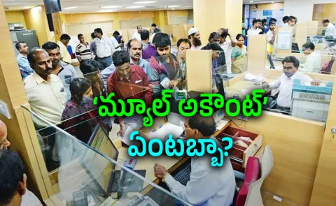 Exposing Mule Accounts: From Common Folk to Corporate Employees in Cyber Crime