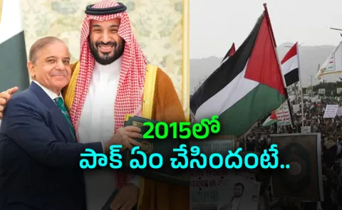 Saudi Houthi Issue Pakistan turkey defence support Full Details
