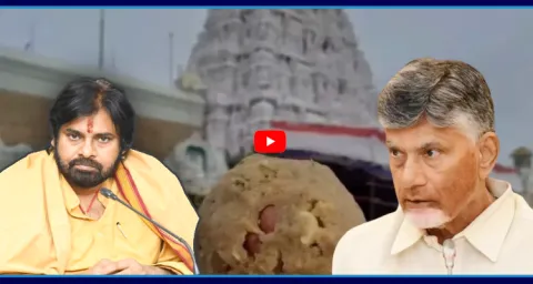 CBI Major Twist In Tirumala Laddu Controversy 1