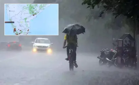 Rain Forecast For Rayalaseema And Coastal Andhra