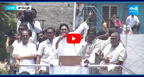 AP CM YS Jagan Comments On Chandrababu At Tadipatri