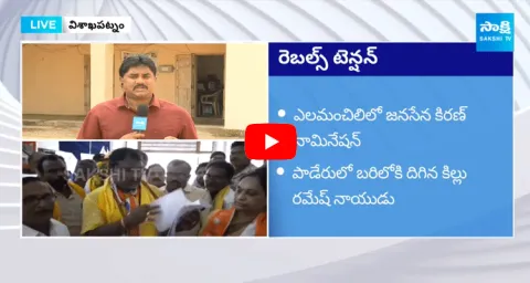 TDP BJP And Janasena Rebel Leaders Big Shock To Alliance 