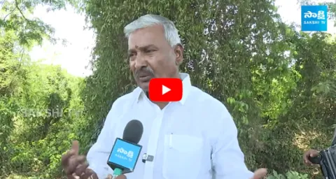 Peddireddy Ramachandra Reddy Fires On Chandrababu