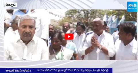 Peddireddy Ramachandra Reddy Comments On Chandrababu