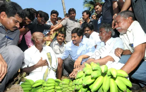 YS Jagan mohan reddy to visit Cyclone Victims in Godavari Districts - Sakshi