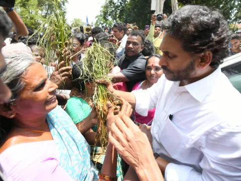 YS Jagan Visits Pithapuram Floods Affected Areas Photos