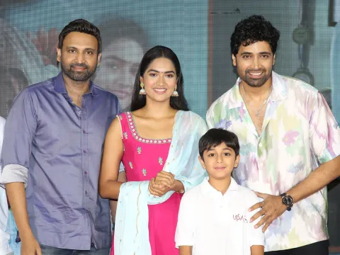 Anaganaga Movie Success Celebrations Photos