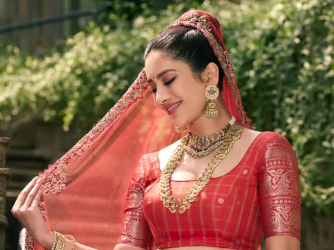 Heroine Nabha Natesh looks like a princess 1