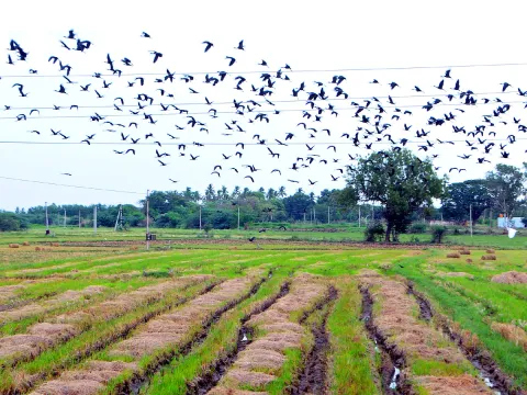 Best Photos of The Week in AP and Telangana Photo Gallery3