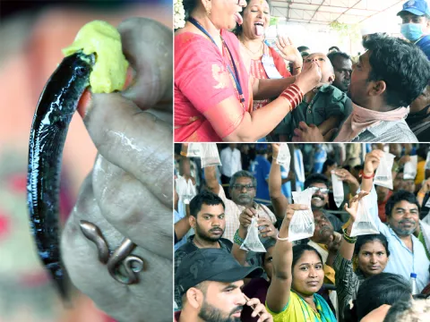 Chepa Mandu Prasadam In Nampally Exhibition Grounds Hyderabad8