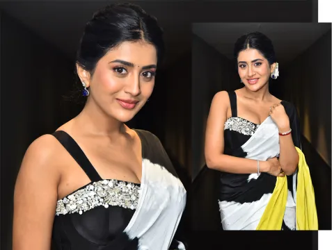 Tollywood Actress Rashi Singh HD Photos2