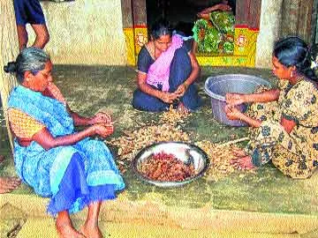 గిరిజనులకు ‘సహకారం’ ఏదీ ? - Sakshi