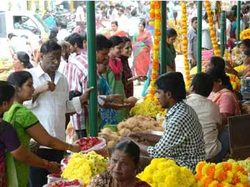 గులాబి@400, చామంతి@500