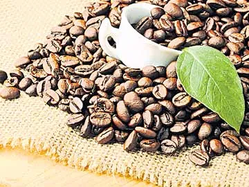 ఫ్రిడ్జ్లో దుర్వాసన పోవాలంటే...