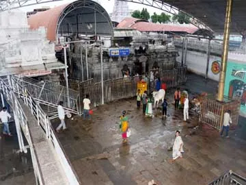 రాజన్నకు అమావాస్య ఎఫెక్టు