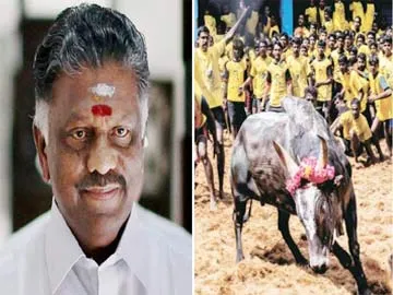 ప్రధాని మోదీకి పన్నీరు సెల్వం లేఖ - Sakshi