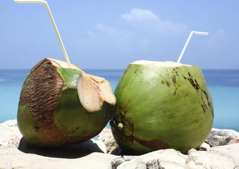 Women Suicide For Coconut - Sakshi