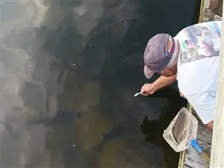 Man Catches Fish With Bare Hands. Watch Video - Sakshi